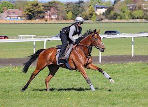 ORCHARD KEEPER enjoys the step up in trip