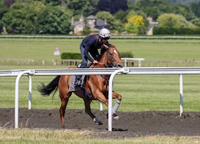 ULTRASOUL off the mark