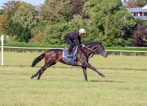 KODIMAN wins for the Varian Racing syndicate