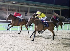 ELMALKA wins on debut