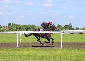 DASHING DARCEY makes it two on the bounce