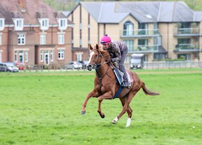 CONDOR PASA gets off the mark