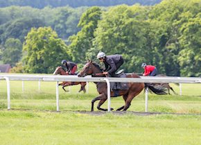 JOWDDAH stays on gamely