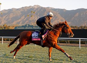 Close second for gallant Daahyeh