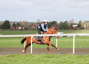 TEROOMM makes it three on the bounce!