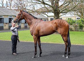 MODEL YUKO makes all at Wolverhampton