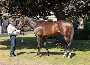ANTIPODES storms home