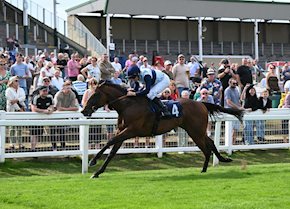 PEEL PARK and LITTLE DORRIT land another double for the yard