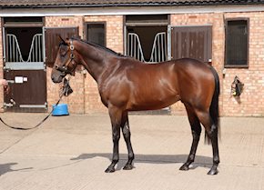 MIRACULOUS wins in good style at Chester