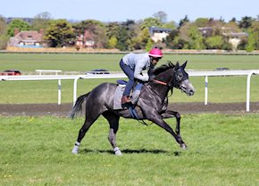 INDALO comes through to win well at Southwell