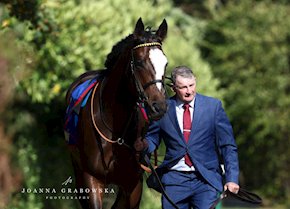 RAHIEBB just held in the St Leger