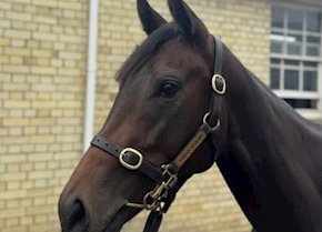 Jack Mitchell Oozes Confidence Aboard COCONUT COVE