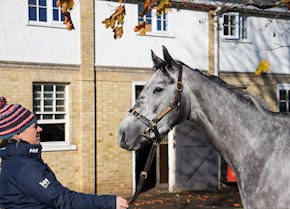 ABSOLUTE STAR makes it a double at Kempton