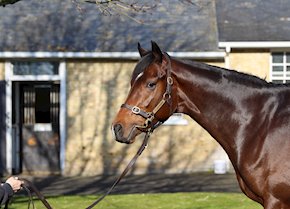 RELOCAL gets off the mark