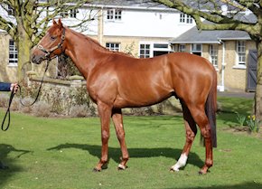 CHAMPION AGAIN OLE makes it back-to-back wins