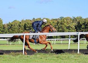 AL AZD justifies favouritism at Southwell