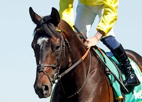 SADDADD gets Group 3 honours in Gordon Richards Stakes