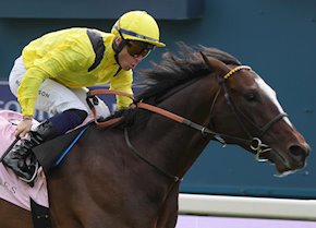 RAHIEBB wins Group 2 Yorkshire Cup