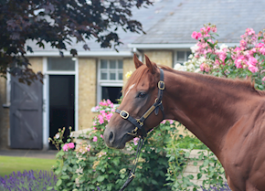 ANYASI scores on seasonal return at Yarmouth
