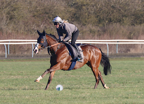 RETURN TO UNIT returns to the winner's enclosure