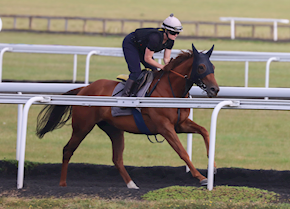 RANEEM impresses on Doncaster debut