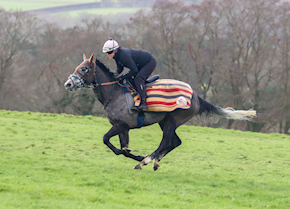 INDALO returns to winning ways at Sandown
