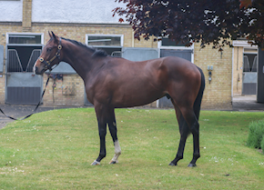 CHYMBULAK gets off the mark at Sandown