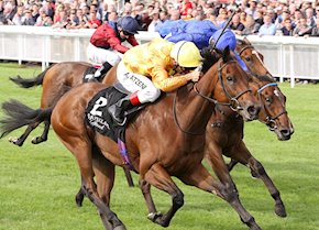 CURSORY GLANCE (USA)