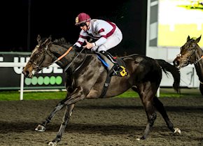 Winning debut for Delta's Royalty