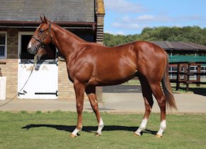 Shares available in new Varian Racing syndicates