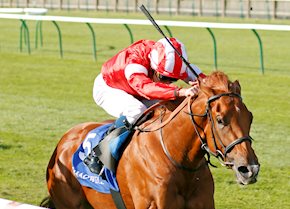 Brilliant Daahyeh prevails in Rockfel 1-2