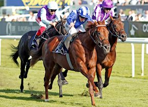 Molatham the star of Doncaster double