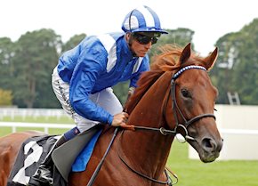 Molatham impresses at York