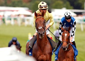 Yard stars to prepare for Dubai test