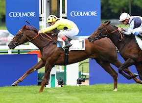 Zabeel Prince lands top flight success at Longchamp