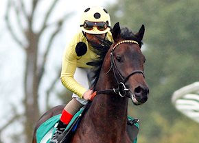 The winners continue to flow as Sharja Bridge sets the bar high