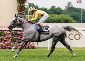 Fujaira Prince reigns at Royal Ascot