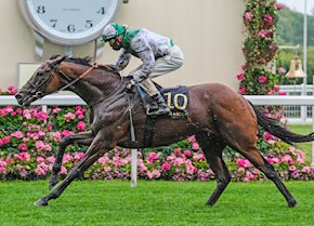 A spectacular day on racing's biggest stage!