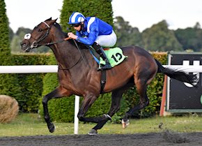 Ligera and Mutasaamy continue good run of form