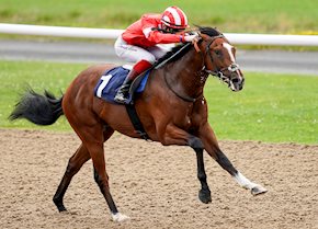 Dark Lion shows good turn of foot to get off the mark
