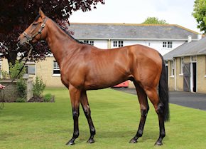 Zegalo scores in good style at Sandown