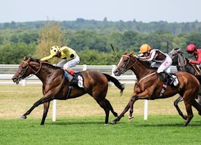 Super Saturday for the stable with 210-1 four-timer