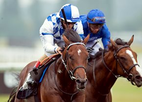 Another successful Saturday brings five winners across the card