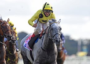 Fujaira Prince lands the odds in Ebor Handicap