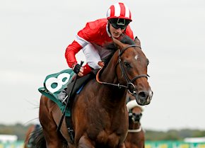 Line Of Departure scores a hat-trick in valuable sales race at Doncaster