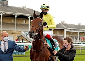 Apparate bags second big handicap prize