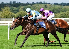 Shandoz provides yard with back-to-back Lavazza Stakes