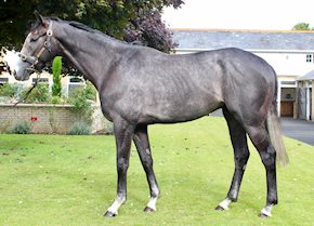 Highclere double