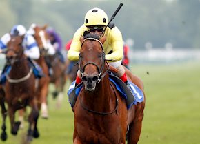 Stable stars head to Champions Day