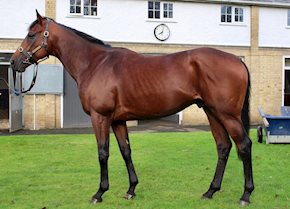 Lydford gets off the mark on his handicap debut